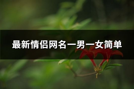 最新情侣网名一男一女简单(共60个)