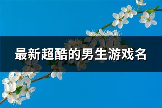 最新超酷的男生游戏名(优选770个)