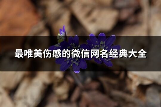 最唯美伤感的微信网名经典大全(优选505个)