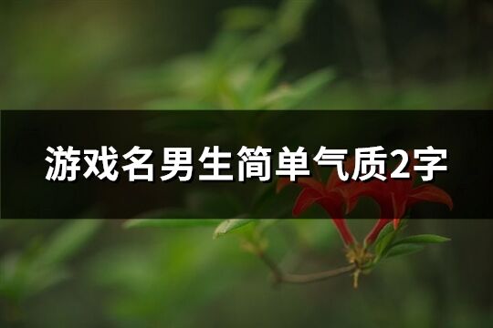 游戏名男生简单气质2字(优选581个)