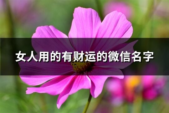 女人用的有财运的微信名字(共851个)