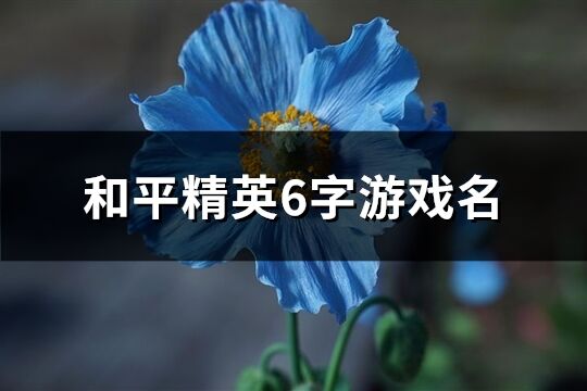 和平精英6字游戏名(共498个)