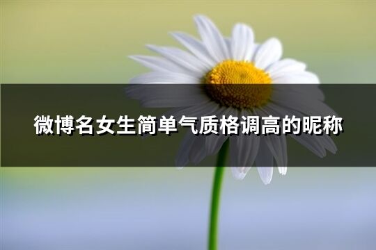 微博名女生简单气质格调高的昵称(共211个)