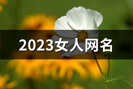 2023女人网名(共1060个)