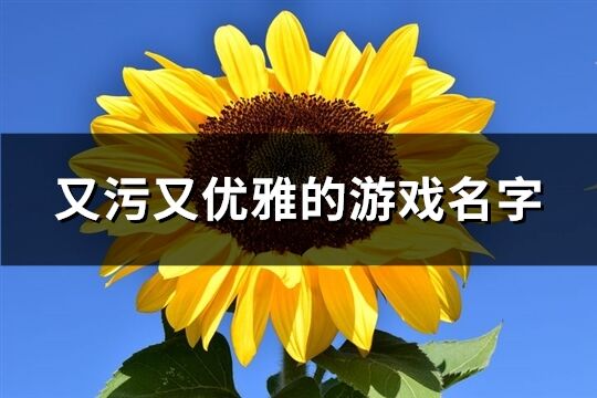 又污又优雅的游戏名字(共284个)