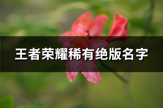 王者荣耀稀有绝版名字(184个)