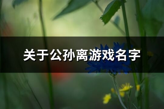 关于公孙离游戏名字(精选580个)