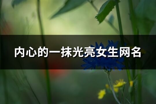 内心的一抹光亮女生网名(精选418个)