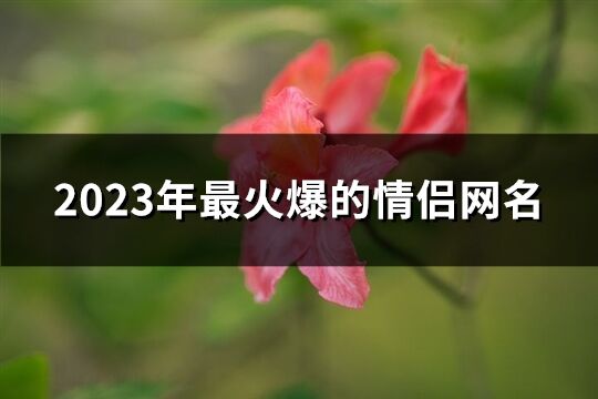 2023年最火爆的情侣网名(共275个)