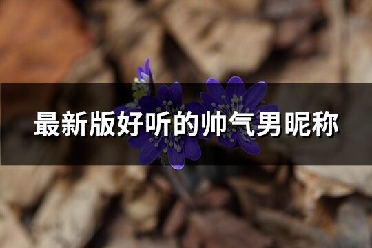 最新版好听的帅气男昵称(精选309个)