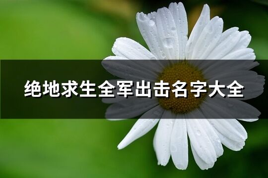 绝地求生全军出击名字大全(137个)