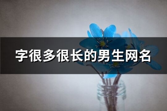 字很多很长的男生网名(331个)