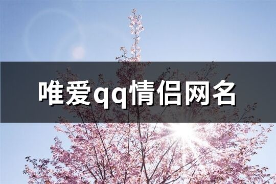 唯爱qq情侣网名(精选125个)