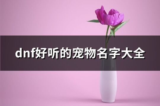 dnf好听的宠物名字大全(372个)