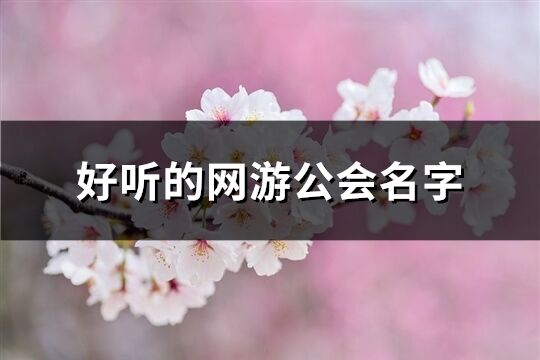 好听的网游公会名字(286个)