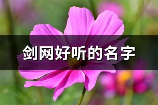 剑网好听的名字(共333个)