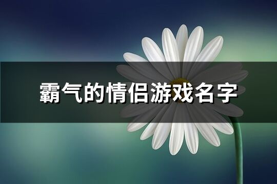 霸气的情侣游戏名字(235个)