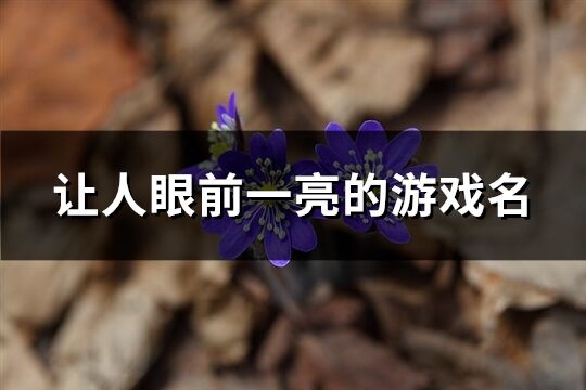 让人眼前一亮的游戏名(207个)