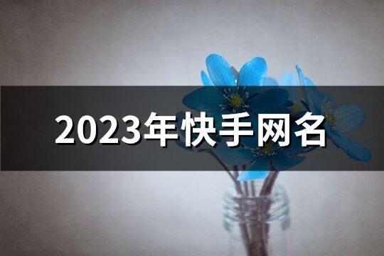 2023年快手网名(精选471个)