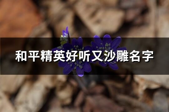 和平精英好听又沙雕名字(共189个)