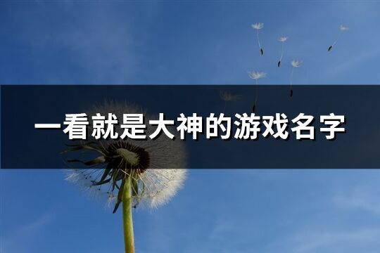 一看就是大神的游戏名字(共497个)