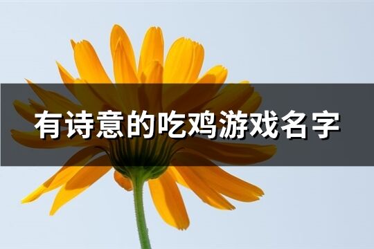 有诗意的吃鸡游戏名字(78个)