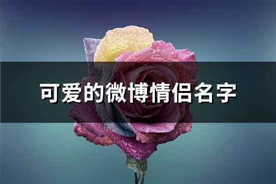 可爱的微博情侣名字(72个)