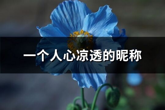 一个人心凉透的昵称(454个)