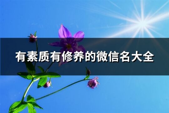 有素质有修养的微信名大全(共680个)