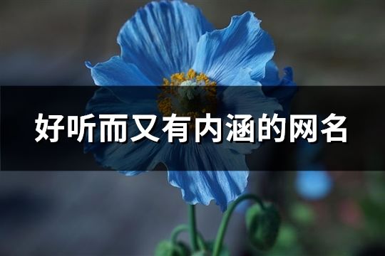 好听而又有内涵的网名(100个)