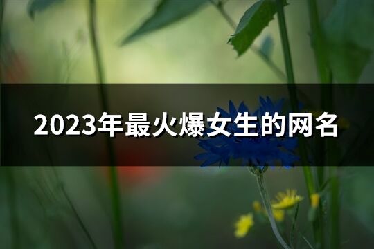 2023年最火爆女生的网名(共1579个)