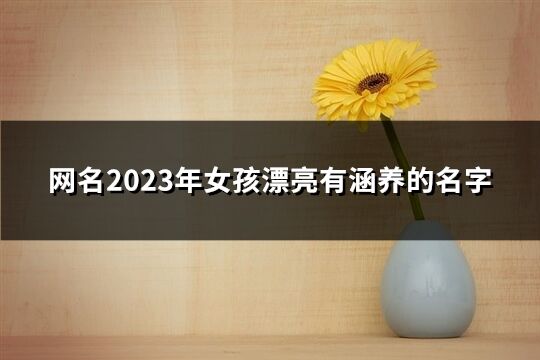 网名2023年女孩漂亮有涵养的名字(共120个)