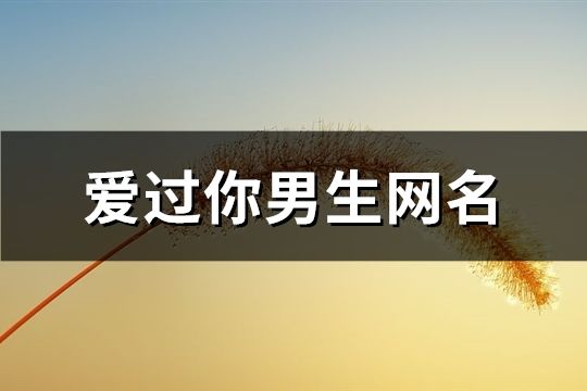 爱过你男生网名(共167个)