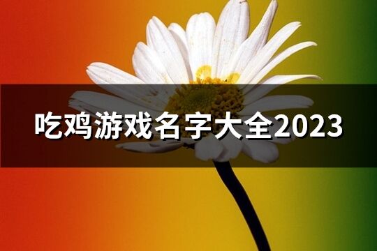 吃鸡游戏名字大全2023(优选58个)