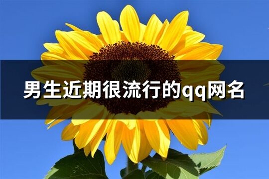 男生近期很流行的qq网名(优选611个)