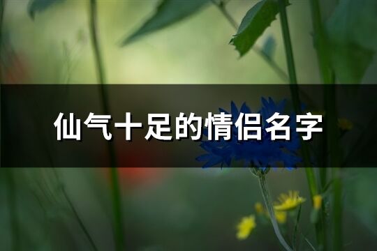 仙气十足的情侣名字(精选220个)