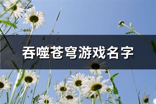 吞噬苍穹游戏名字(共240个)