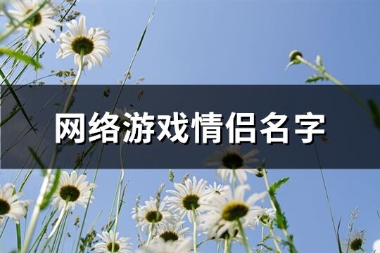 网络游戏情侣名字(优选416个)