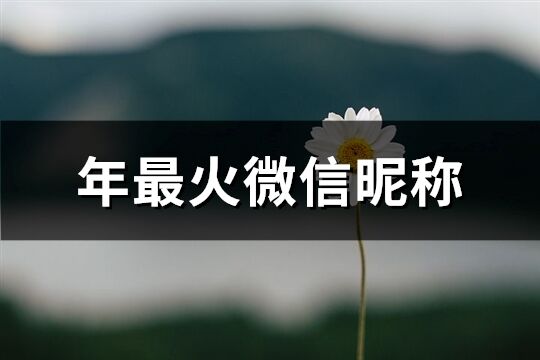 年最火微信昵称(优选740个)