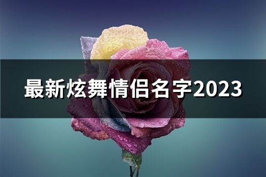 最新炫舞情侣名字2023(精选221个)