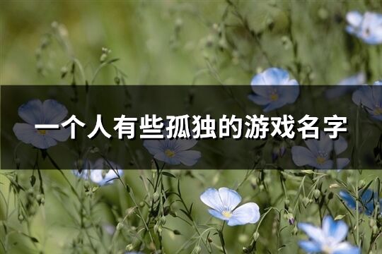 一个人有些孤独的游戏名字(共161个)