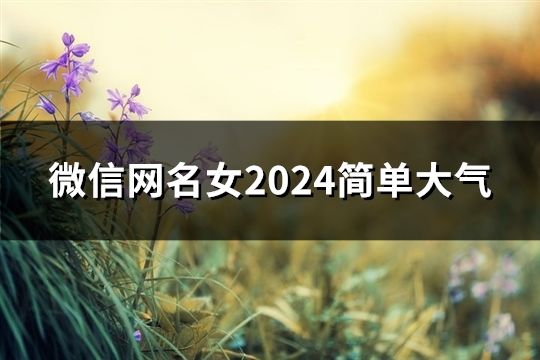 微信网名女2024简单大气(精选46个)