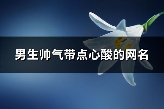 男生帅气带点心酸的网名(共150个)