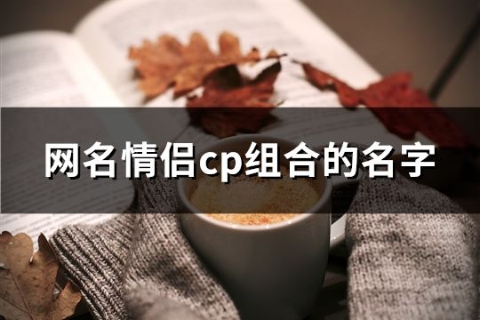 网名情侣cp组合的名字(精选309个)