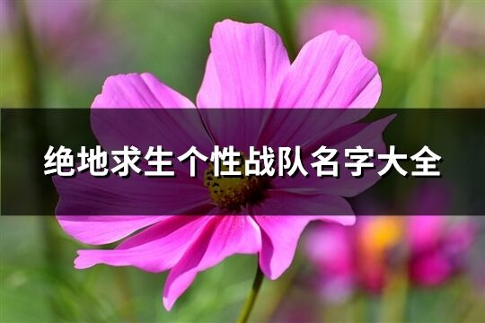 绝地求生个性战队名字大全(共409个)