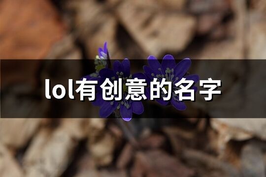 lol有创意的名字(精选614个)