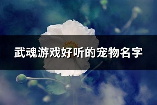 武魂游戏好听的宠物名字(精选370个)