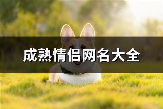 成熟情侣网名大全(精选108个)