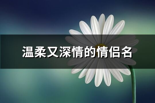 温柔又深情的情侣名(共68个)