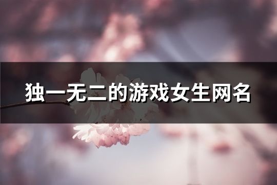 独一无二的游戏女生网名(精选374个)